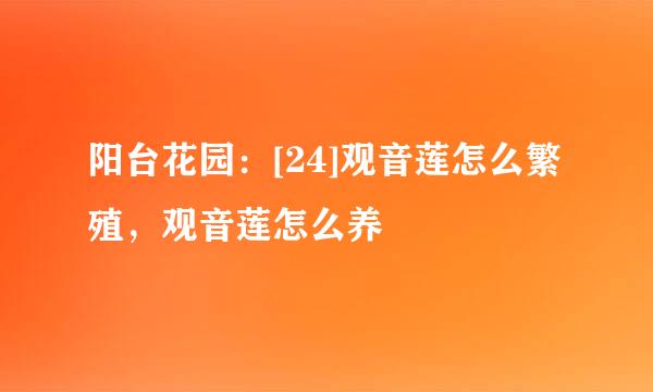 阳台花园：[24]观音莲怎么繁殖，观音莲怎么养