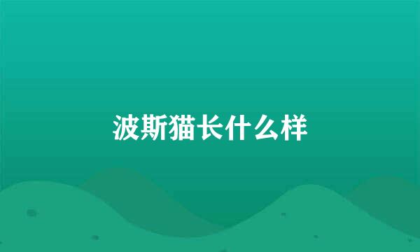 波斯猫长什么样