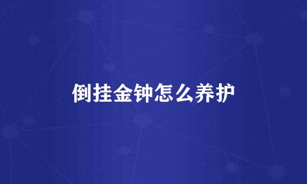 倒挂金钟怎么养护