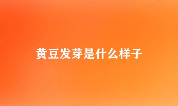 黄豆发芽是什么样子