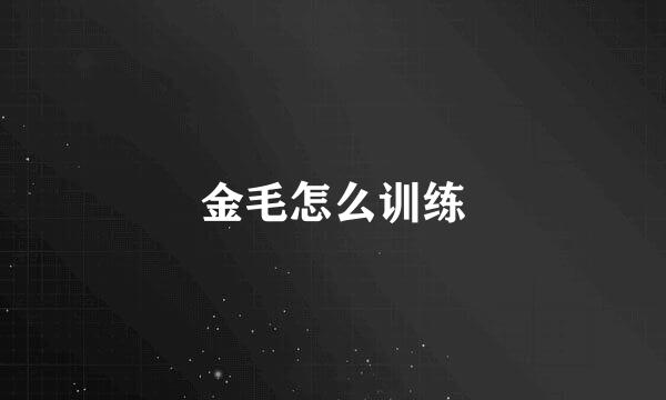 金毛怎么训练