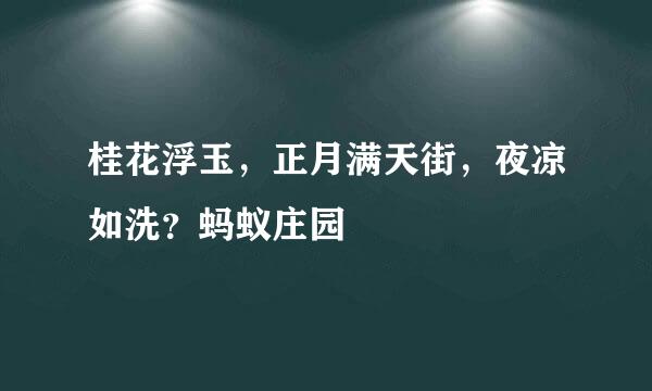 桂花浮玉，正月满天街，夜凉如洗？蚂蚁庄园