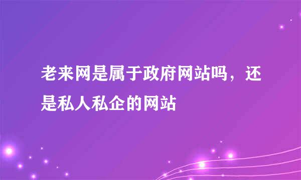 老来网是属于政府网站吗，还是私人私企的网站
