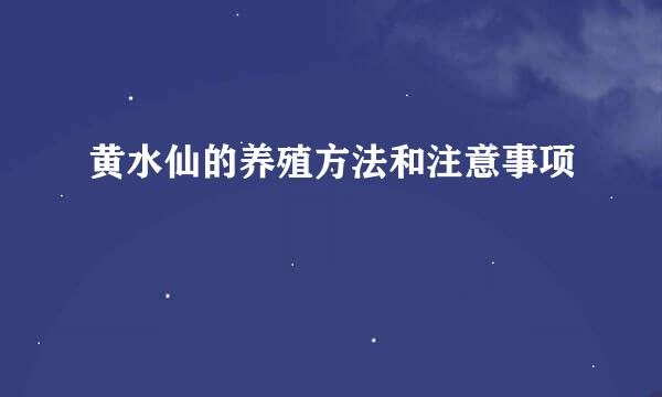 黄水仙的养殖方法和注意事项