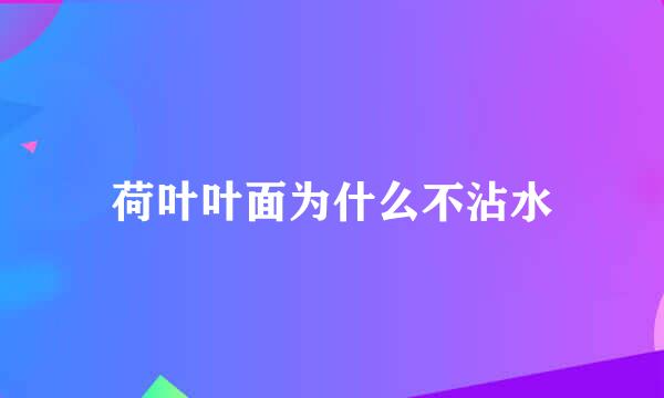 荷叶叶面为什么不沾水