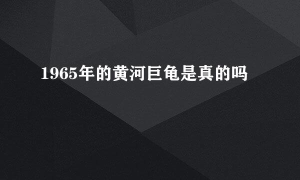 1965年的黄河巨龟是真的吗