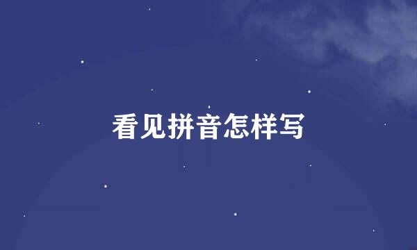 看见拼音怎样写