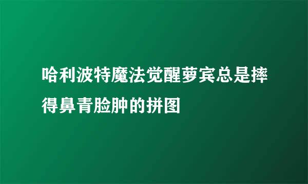 哈利波特魔法觉醒萝宾总是摔得鼻青脸肿的拼图