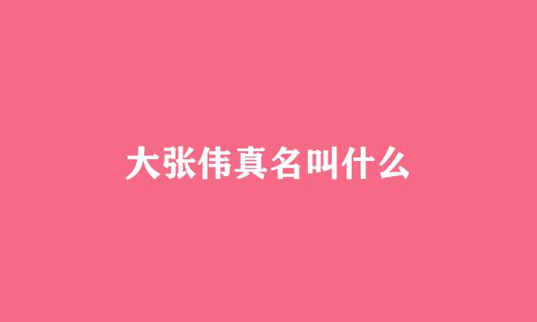 大张伟真名叫什么