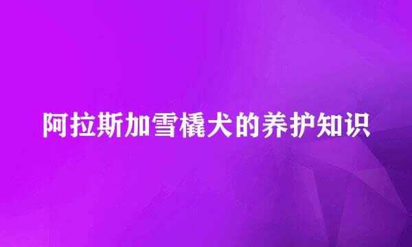 阿拉斯加雪橇犬的养护知识