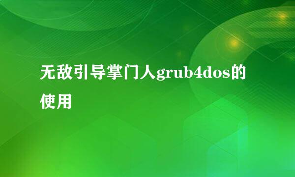 无敌引导掌门人grub4dos的使用