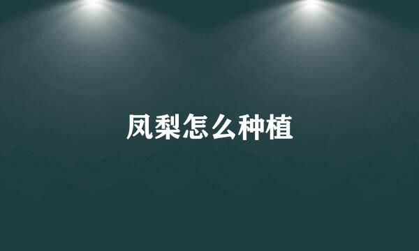 凤梨怎么种植