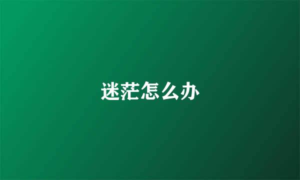 迷茫怎么办