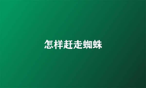 怎样赶走蜘蛛