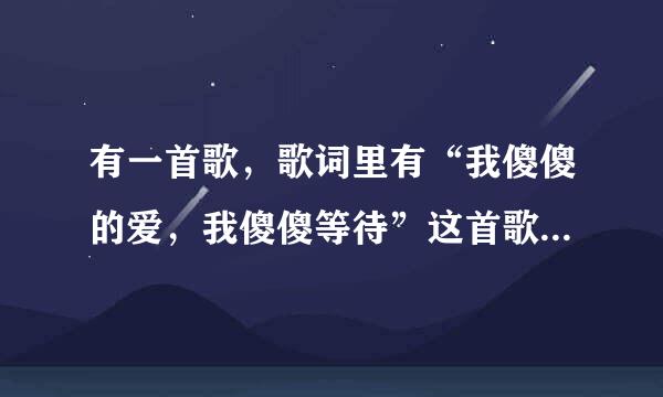 有一首歌，歌词里有“我傻傻的爱，我傻傻等待”这首歌的名字是什么
