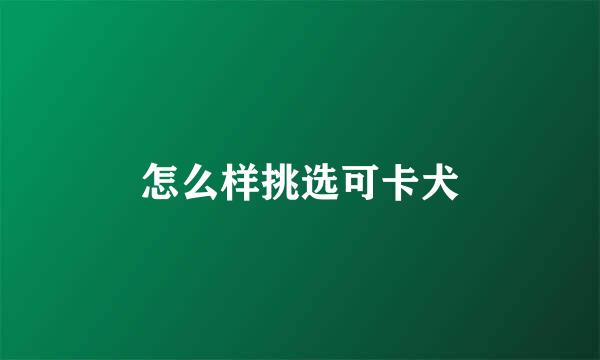 怎么样挑选可卡犬
