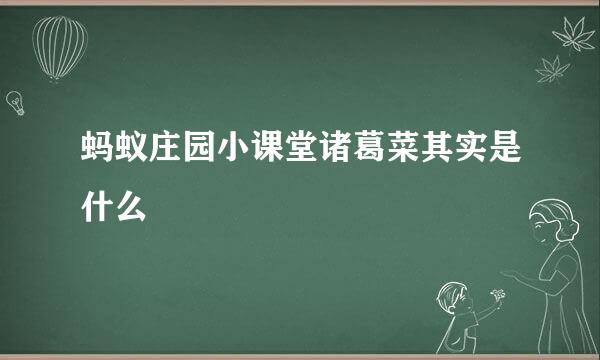 蚂蚁庄园小课堂诸葛菜其实是什么