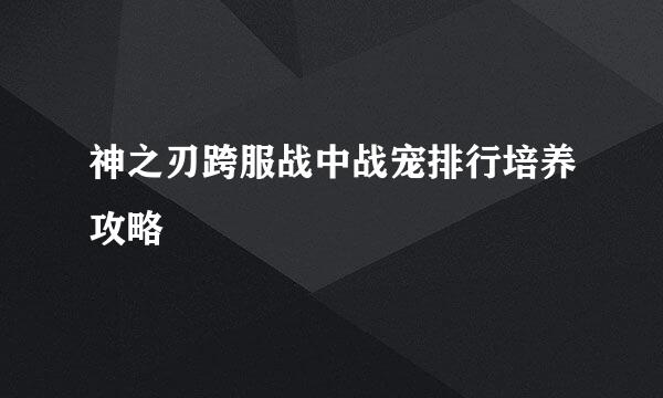神之刃跨服战中战宠排行培养攻略