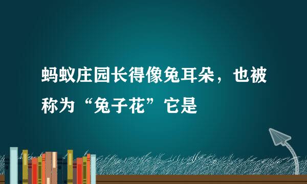 蚂蚁庄园长得像兔耳朵，也被称为“兔子花”它是