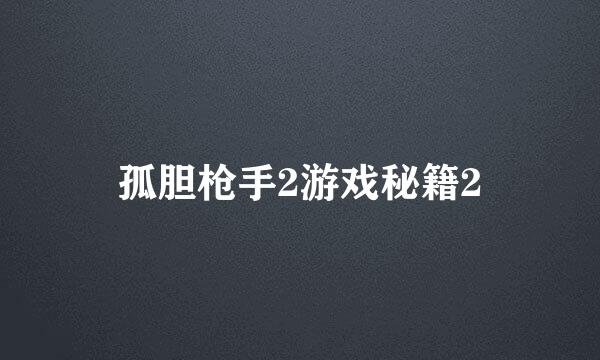 孤胆枪手2游戏秘籍2