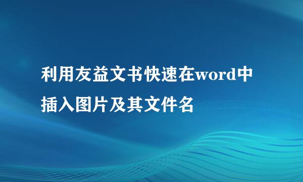 利用友益文书快速在word中插入图片及其文件名