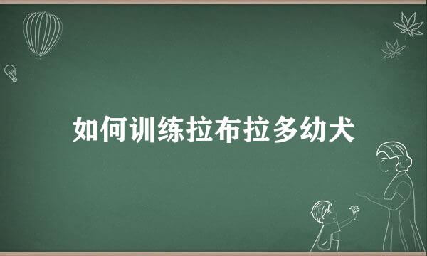 如何训练拉布拉多幼犬