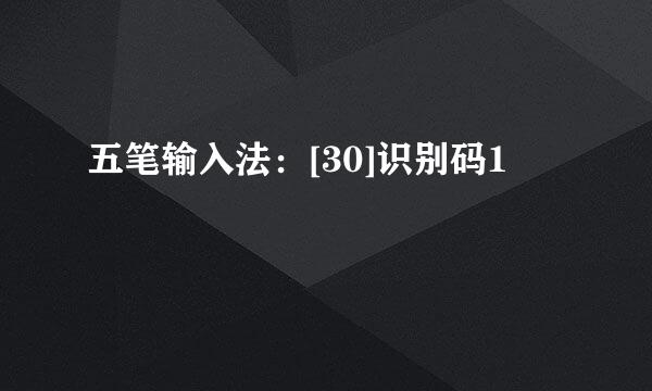 五笔输入法：[30]识别码1