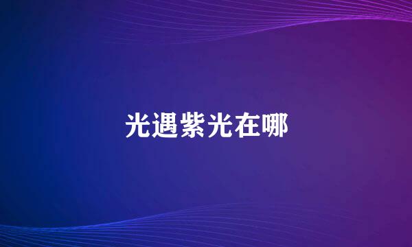 光遇紫光在哪