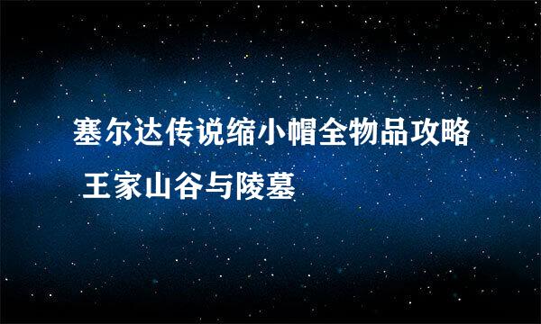 塞尔达传说缩小帽全物品攻略 王家山谷与陵墓