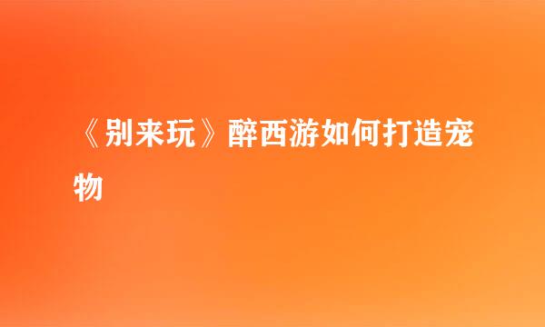 《别来玩》醉西游如何打造宠物