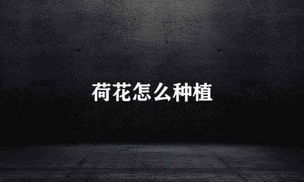 荷花怎么种植