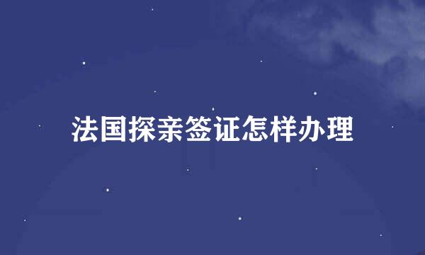 法国探亲签证怎样办理