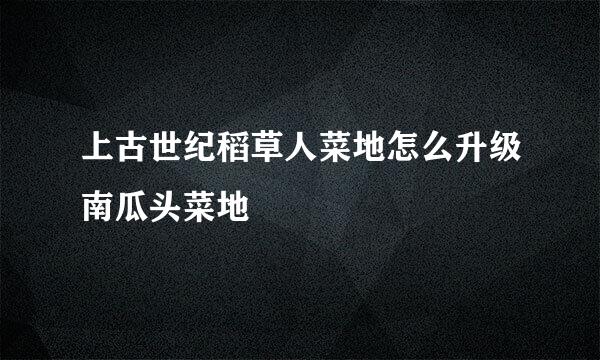 上古世纪稻草人菜地怎么升级南瓜头菜地