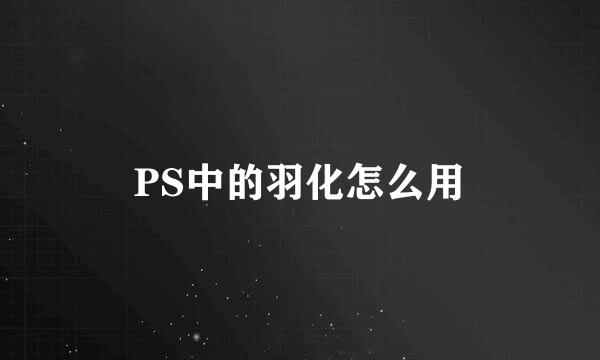 PS中的羽化怎么用