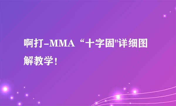 啊打-MMA“十字固