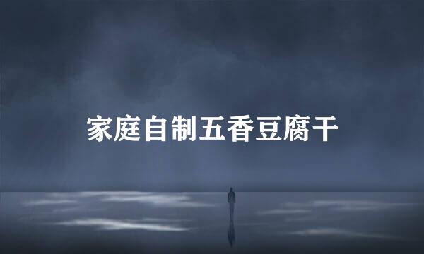 家庭自制五香豆腐干