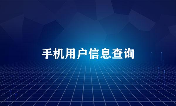 手机用户信息查询