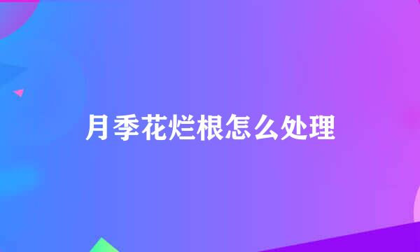月季花烂根怎么处理