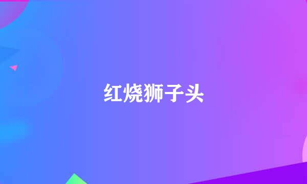 红烧狮子头