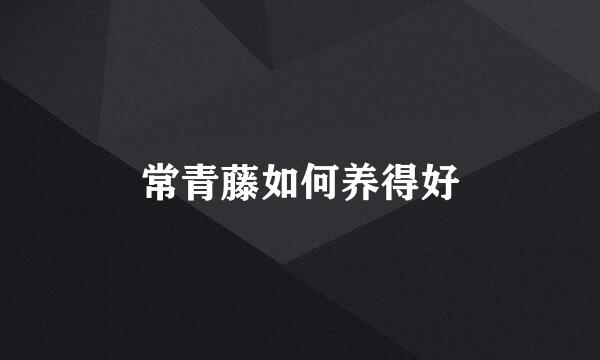 常青藤如何养得好