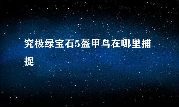 究极绿宝石5盔甲鸟在哪里捕捉