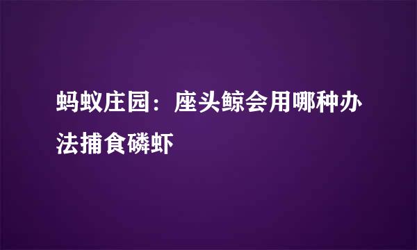 蚂蚁庄园：座头鲸会用哪种办法捕食磷虾