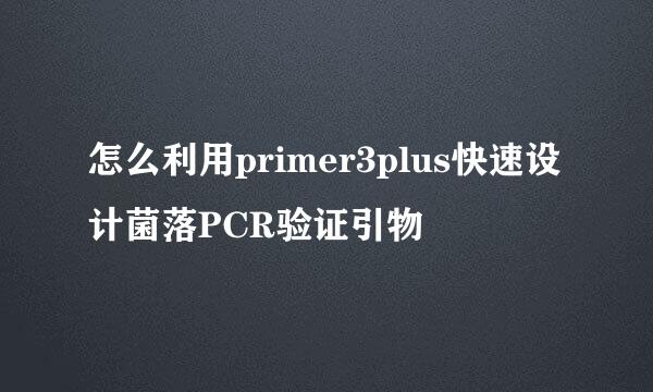 怎么利用primer3plus快速设计菌落PCR验证引物