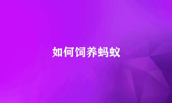 如何饲养蚂蚁