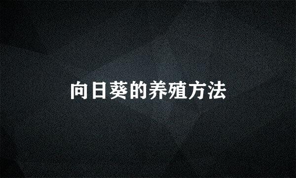 向日葵的养殖方法