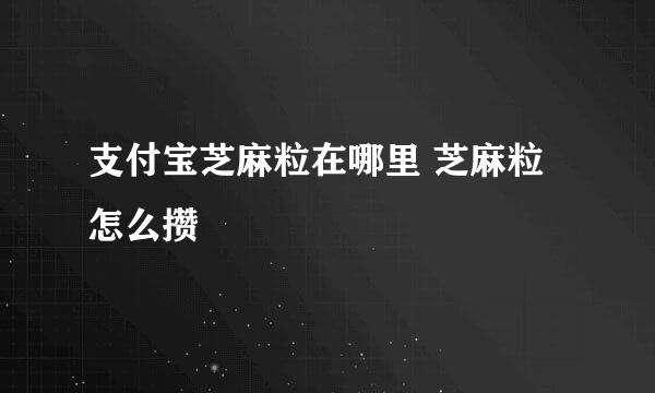 支付宝芝麻粒在哪里 芝麻粒怎么攒