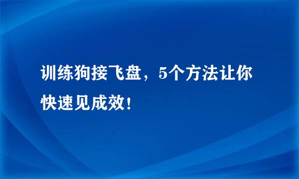 训练狗接飞盘，5个方法让你快速见成效！