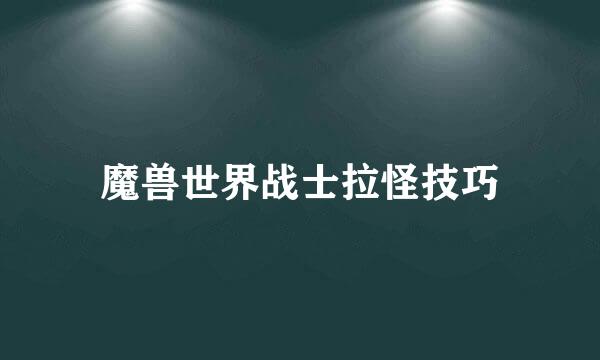 魔兽世界战士拉怪技巧