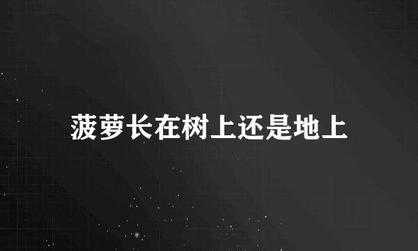 菠萝长在树上还是地上
