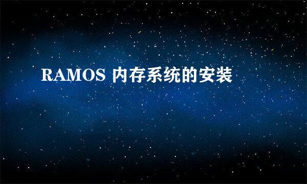 RAMOS 内存系统的安装